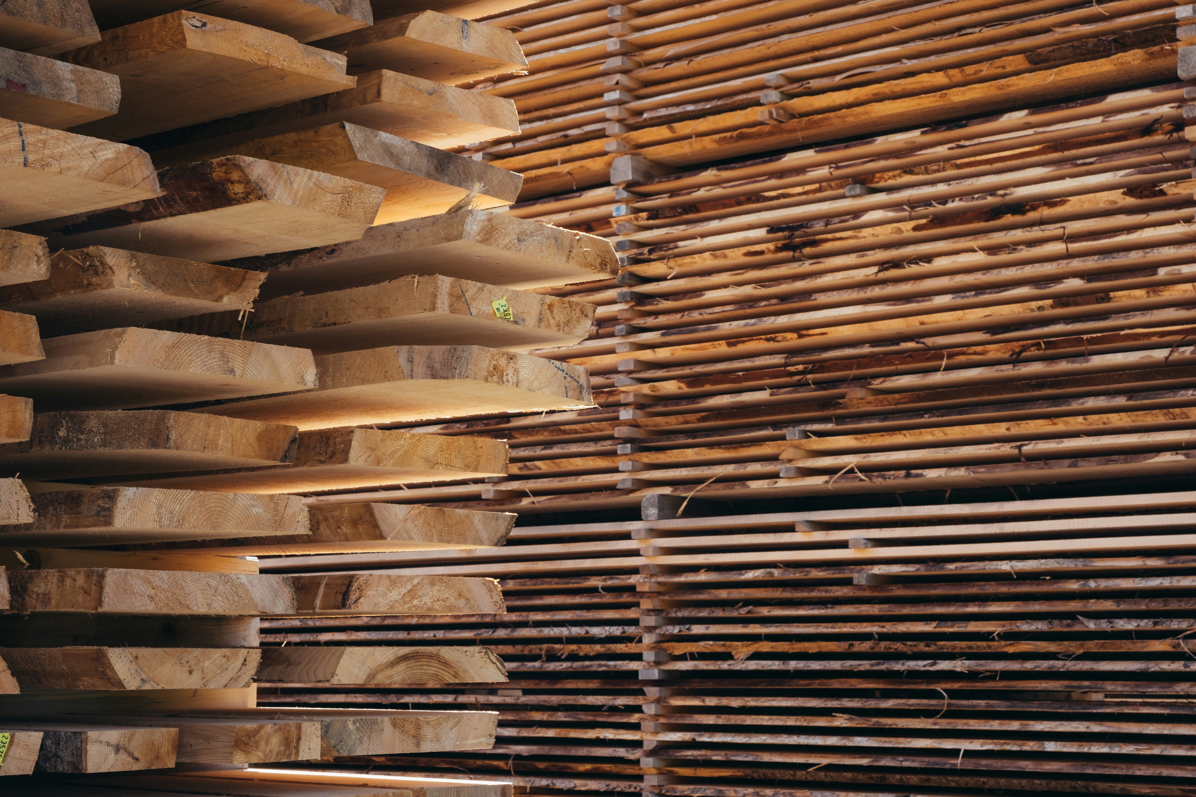 Natural Timber — architectural material
